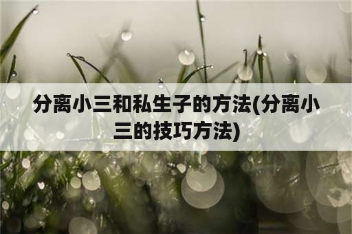 分离小三和私生子的方法(分离小三的技巧方法)