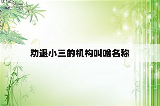 劝退小三的机构叫啥名称