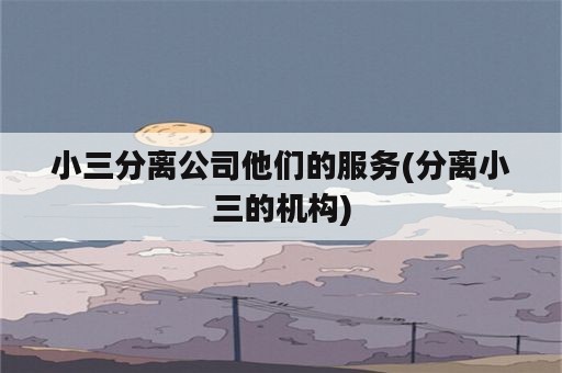 小三分离公司他们的服务(分离小三的机构)