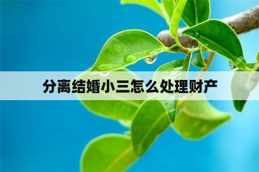 分离结婚小三怎么处理财产