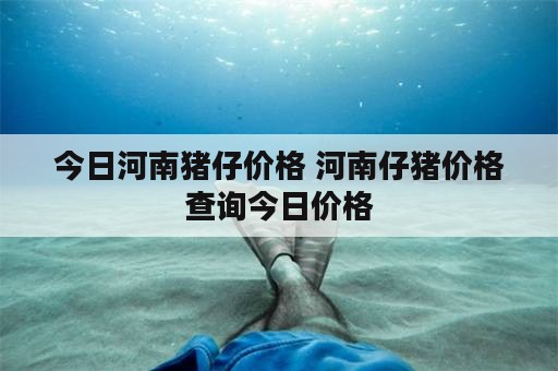 今日河南猪仔价格 河南仔猪价格查询今日价格