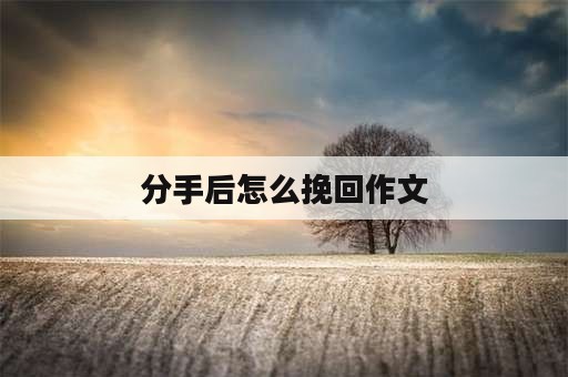 分手后怎么挽回作文