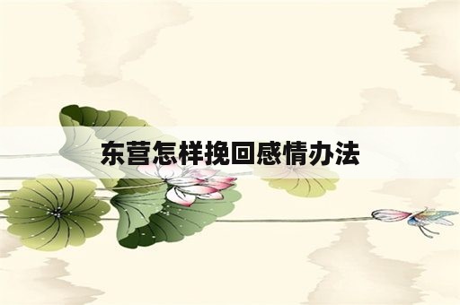 东营怎样挽回感情办法