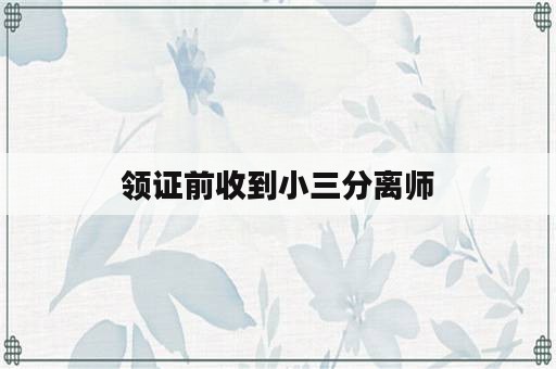 领证前收到小三分离师