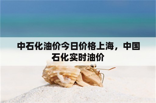 中石化油价今日价格上海，中国石化实时油价