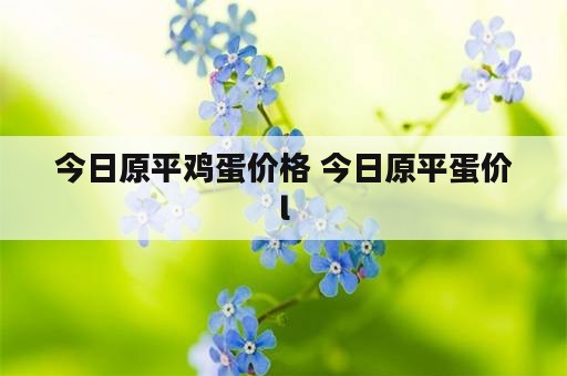 今日原平鸡蛋价格 今日原平蛋价l