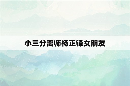 小三分离师杨正锋女朋友