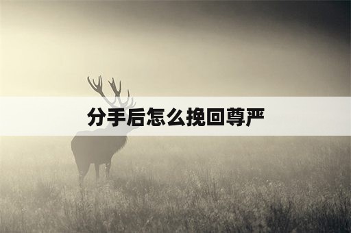 分手后怎么挽回尊严