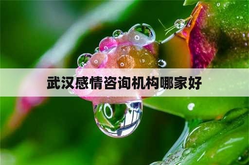 武汉感情咨询机构哪家好