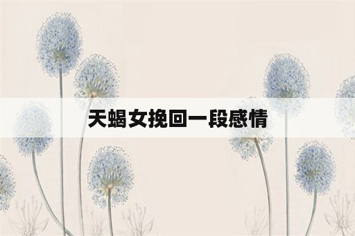 天蝎女挽回一段感情