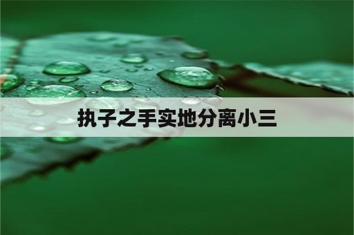 执子之手实地分离小三