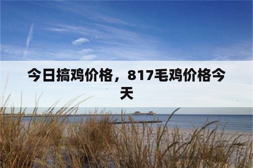 今日搞鸡价格，817毛鸡价格今天