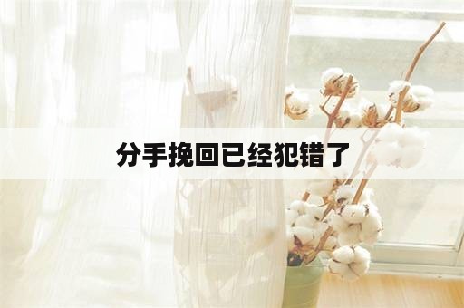 分手挽回已经犯错了