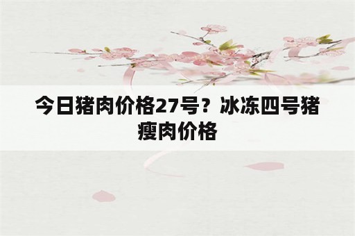 今日猪肉价格27号？冰冻四号猪瘦肉价格