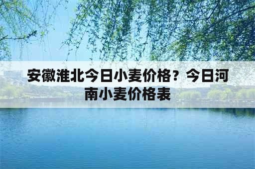 安徽淮北今日小麦价格？今日河南小麦价格表