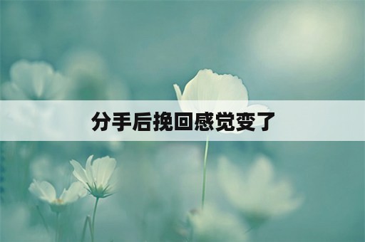 分手后挽回感觉变了