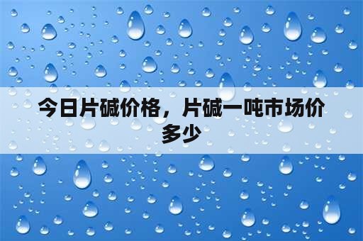 今日片碱价格，片碱一吨市场价多少