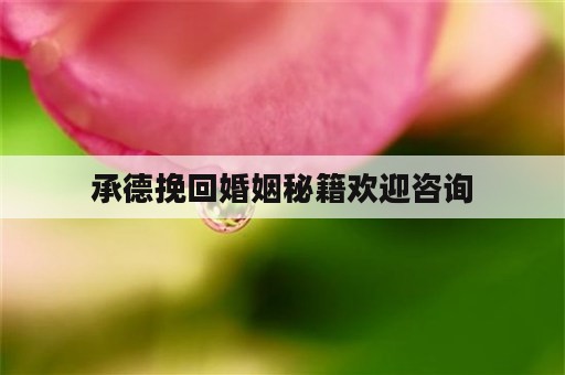 承德挽回婚姻秘籍欢迎咨询