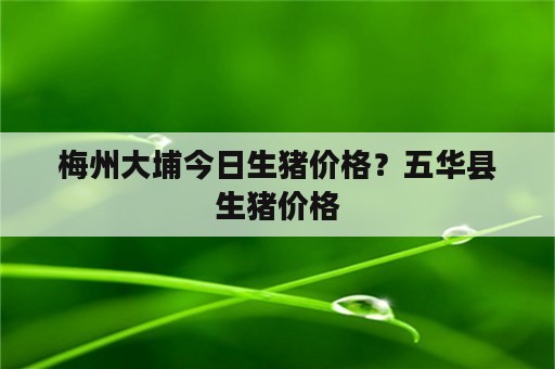 梅州大埔今日生猪价格？五华县生猪价格