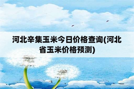 河北辛集玉米今日价格查询(河北省玉米价格预测)