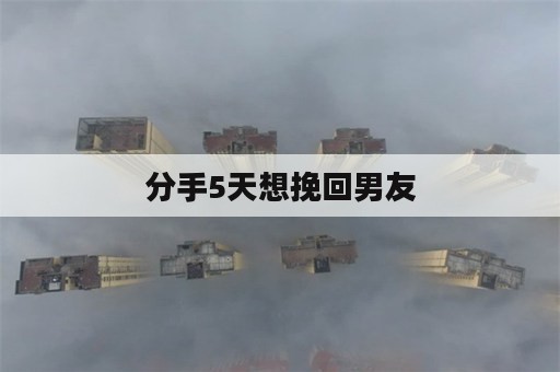 分手5天想挽回男友