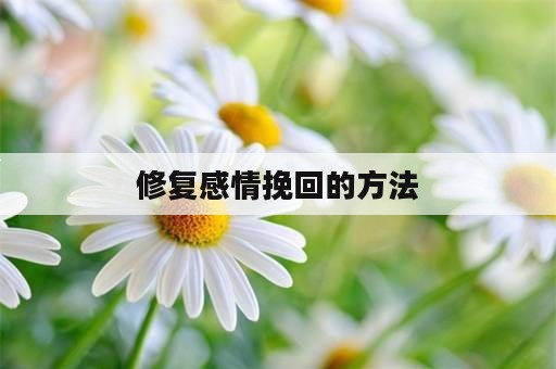 修复感情挽回的方法