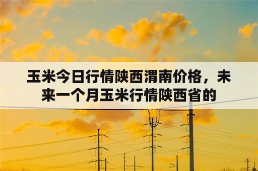 玉米今日行情陕西渭南价格，未来一个月玉米行情陕西省的