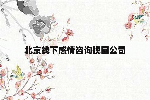 北京线下感情咨询挽回公司