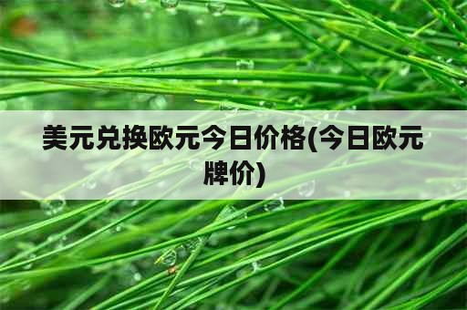 美元兑换欧元今日价格(今日欧元牌价)