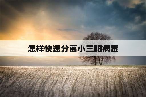 怎样快速分离小三阳病毒