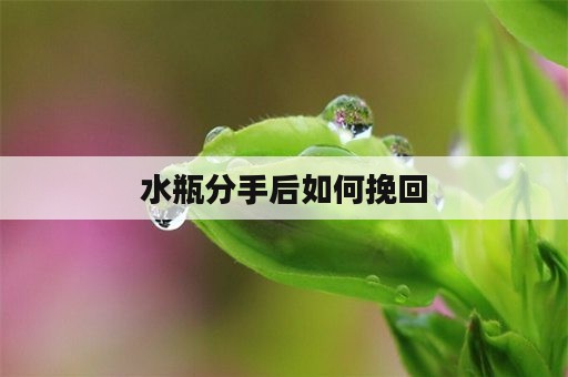 水瓶分手后如何挽回