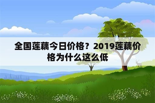 全国莲藕今日价格？2019莲藕价格为什么这么低