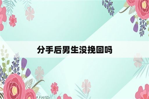 分手后男生没挽回吗