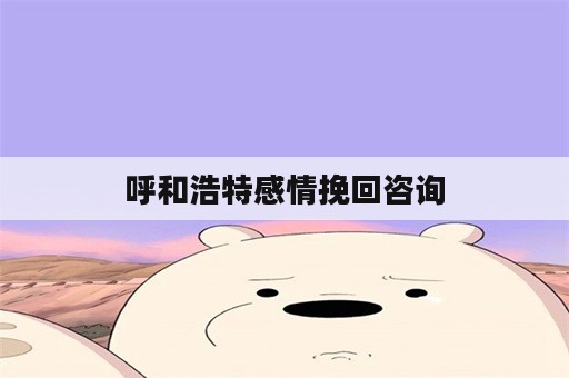 呼和浩特感情挽回咨询