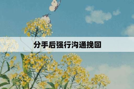 分手后强行沟通挽回