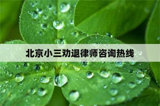 北京小三劝退律师咨询热线