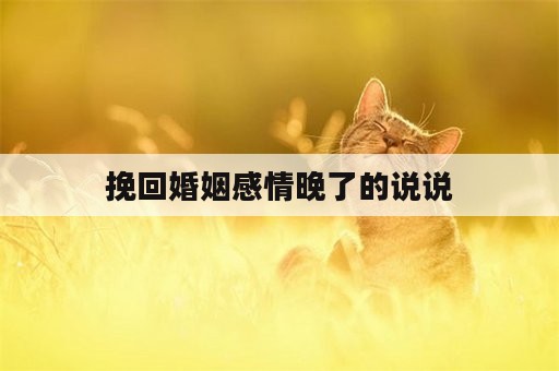 挽回婚姻感情晚了的说说