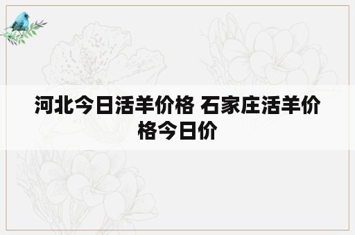 河北今日活羊价格 石家庄活羊价格今日价