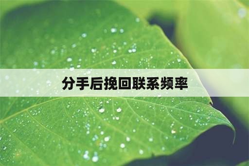 分手后挽回联系频率