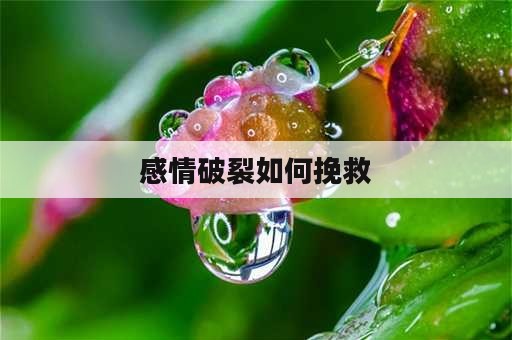 感情破裂如何挽救