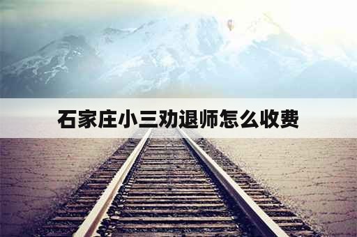 石家庄小三劝退师怎么收费