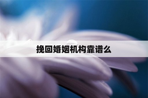 挽回婚姻机构靠谱么