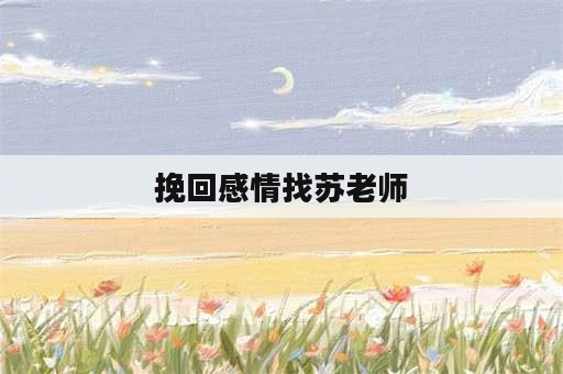 挽回感情找苏老师