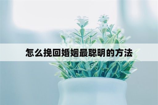 怎么挽回婚姻最聪明的方法