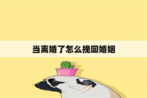 当离婚了怎么挽回婚姻