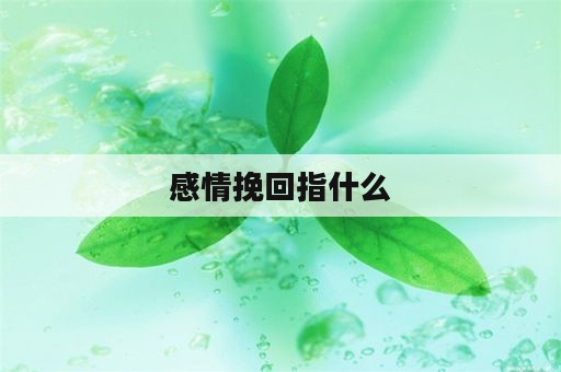 感情挽回指什么